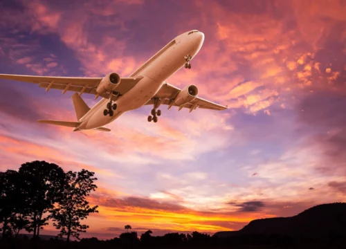 How do I talk to a live person at Turkish Airlines?